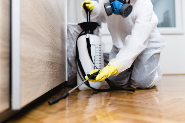Best Residential Pest Control  in Buchanan, NY