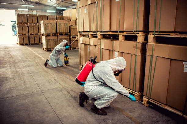 Best Ant Control Services  in Buchanan, NY
