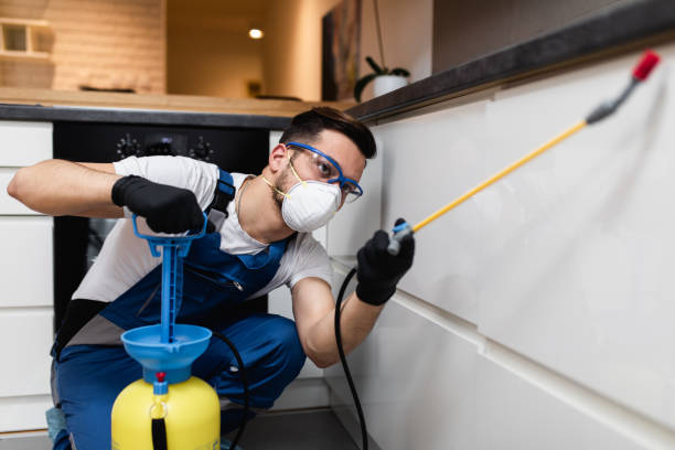Best Affordable Pest Control Services  in Buchanan, NY