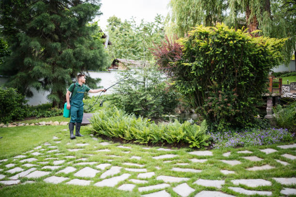 Best Pest Inspection Near Me  in Buchanan, NY