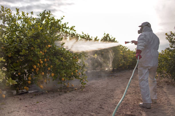 Best Best Pest Control Companies  in Buchanan, NY
