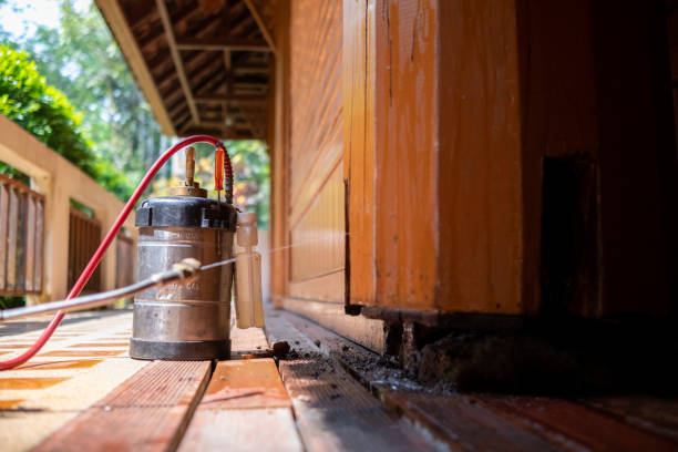 Best Affordable Pest Control Services  in Buchanan, NY