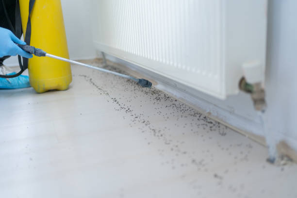 Best Pest Prevention Services  in Buchanan, NY