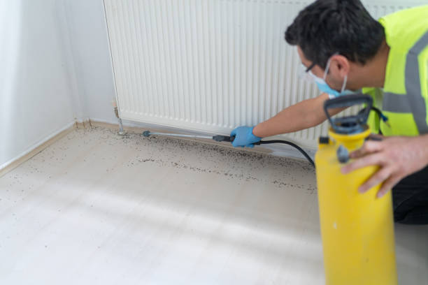 Best Affordable Pest Control Services  in Buchanan, NY